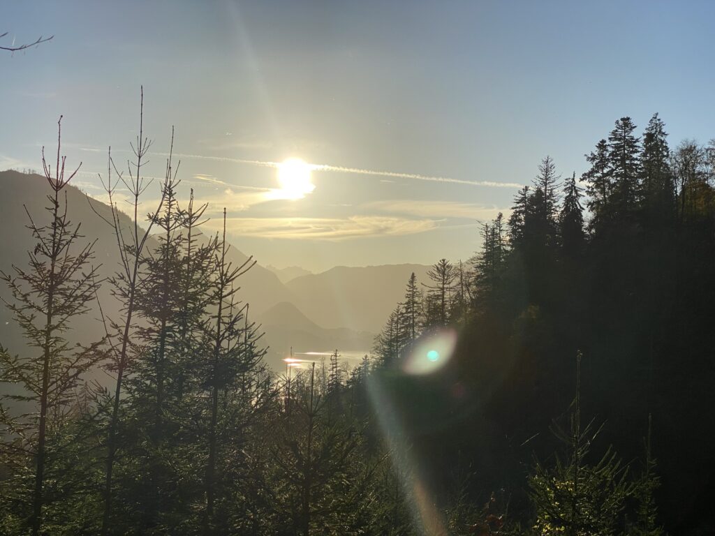 Die Sonne scheint hell über einer nebligen Berglandschaft im Kraftort Steiermark, mit Kiefern im Vordergrund und einem ruhigen See, der das Licht in der Ferne unter einem klaren Himmel reflektiert.