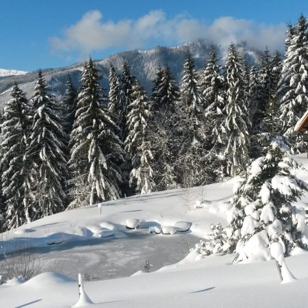 Die schneebedeckte Almhütte mieten liegt neben hohen Tannen in einer winterlichen Landschaft. Der Boden ist mit Schnee bedeckt und im Hintergrund sind die Berge unter einem strahlend blauen Himmel zu sehen.