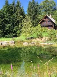 Eine Holzhütte der Licht-Quell-Alm, umgeben von üppigem Grün, liegt auf einer kleinen Anhöhe über einem klaren Teich, mit lila Blumen und einem hölzernen Steg im Vordergrund - eine beschauliche Kulisse, inspiriert von Ganzheitsmedizin Dr. Töth.