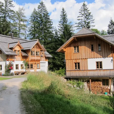 Zwei Holzhäuser mit Giebeldächern stehen inmitten von hohen Bäumen und Grünflächen auf der Lichtquellalm. Ein Feldweg führt an den Häusern vorbei, unter einem Balkon stapelt sich Brennholz, und die friedliche Umgebung ist ideal für Seminare oder zum Genießen der Blütenessenzen der Natur. Der Himmel ist teilweise bewölkt.