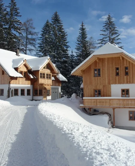 Zwei Holzhäuser mit schneebedeckten Dächern stehen am Rande einer verschneiten Straße auf der Lichtquellalm, umgeben von hohen Immergrünen unter einem blauen Himmel. Die ruhige, winterliche Szenerie ist perfekt für Dr. Töth Seminare. Das Sonnenlicht hebt den frischen Schnee hervor.